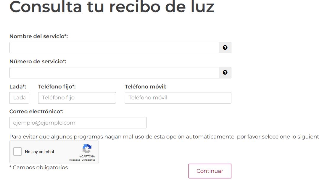 imprimir-recibo-luz-sin-registro