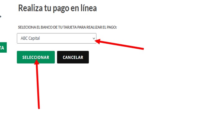 pagar el recibo de luz mi espacio cfe